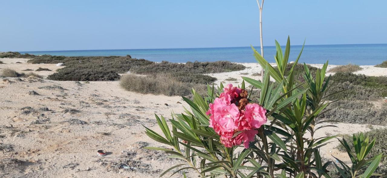 Dar Chick Yahia Ile De Djerba Bed & Breakfast Mezrane Exterior photo